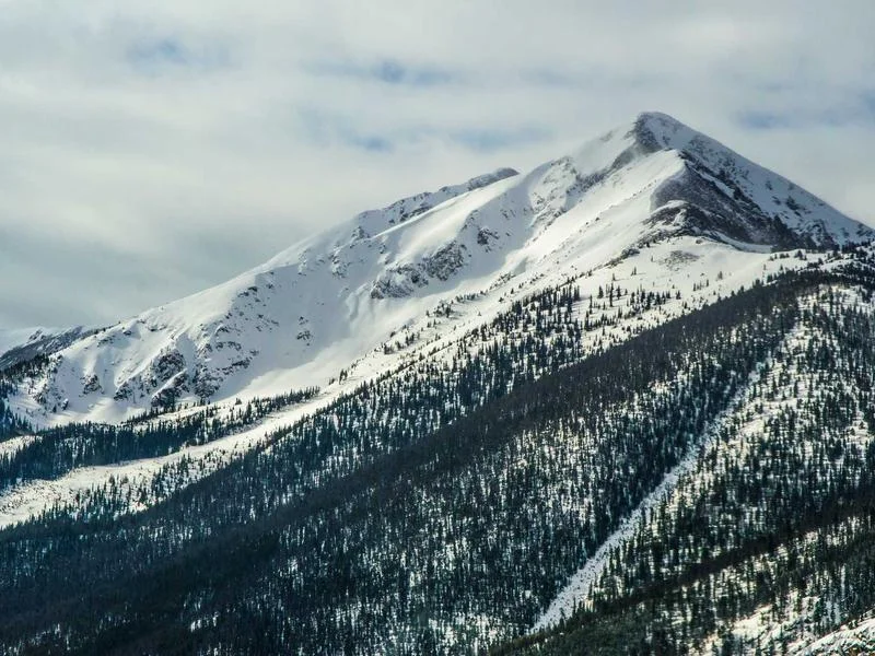 냉장용앞문쇼케이스업체추천 - 꼼꼼한 사후관리 체크는 필수