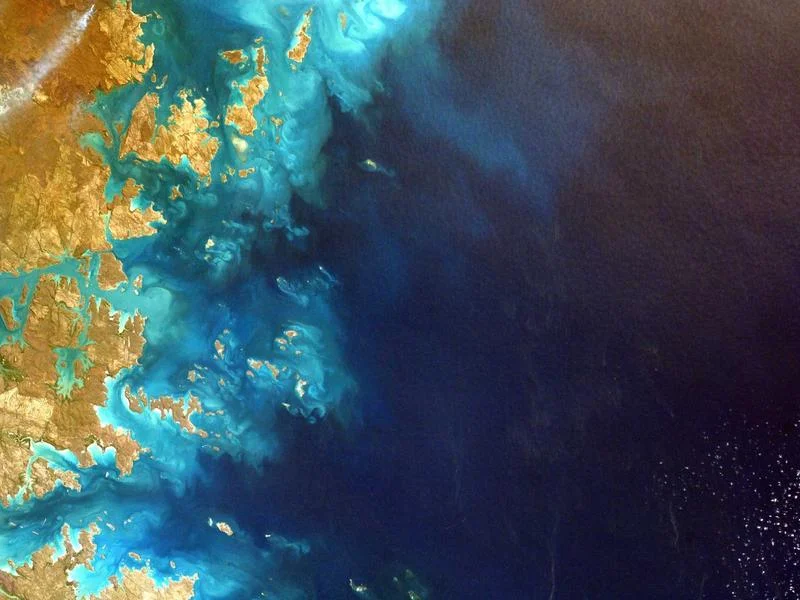 냉장용오픈다단쇼케이스견적 - 전문가의_안전한_장비_운반