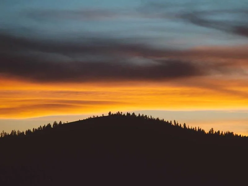 냉장용오픈다단쇼케이스비용 - 정밀한_온도_제어_시스템