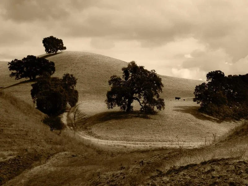 냉장용오픈다단쇼케이스싼곳 - 만족스러운 제품 선택의 순간