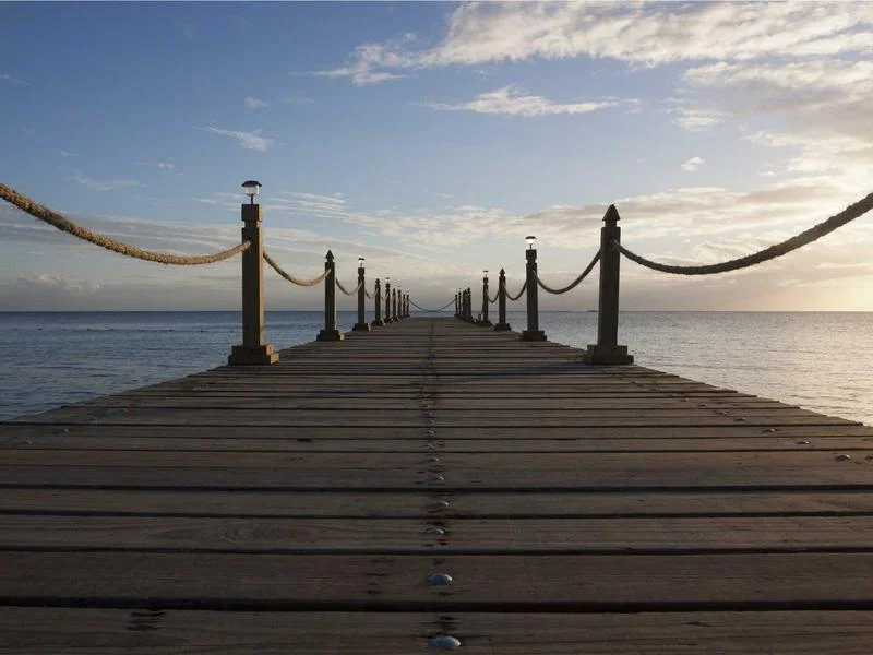 냉장용냉장쇼케이스견적문의 - 쇼케이스_정밀_점검_현장