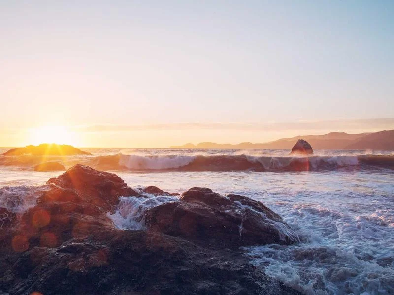 냉장용냉장쇼케이스견적문의 - 업종별_맞춤_장비_배치