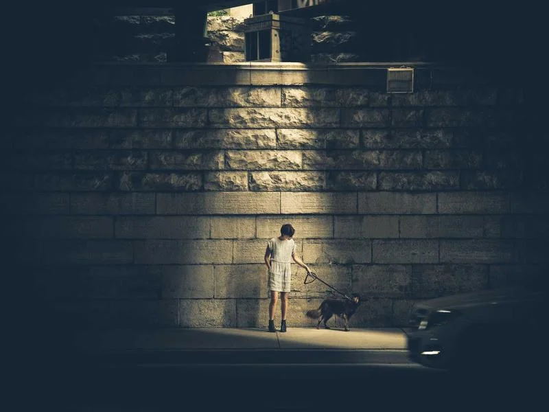 정육용냉장고업체 - 2026년형_정육_쇼케이스