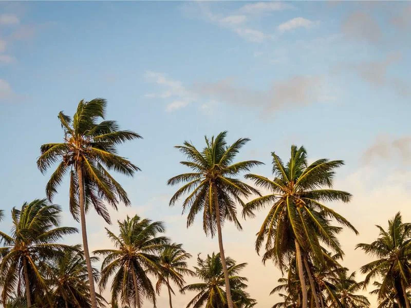 정육용냉장고견적문의 - 냉장고_핵심_부품_점검_현장