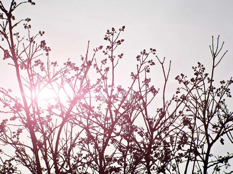 정육용냉장고견적문의 - 매장_맞춤형_설계_상담_장면