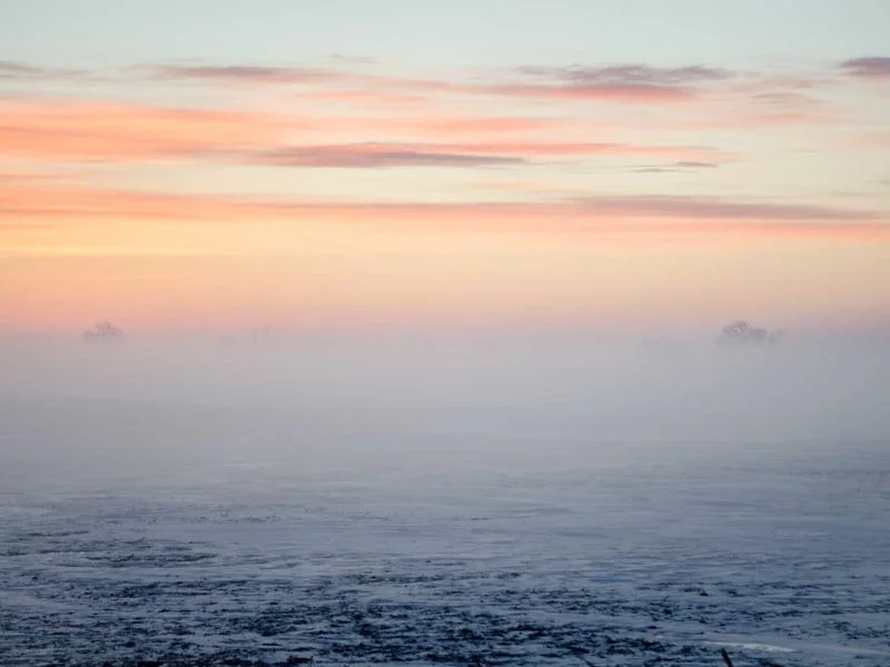 정육용진열장추천 - 2026년형 프리미엄 정육진열장