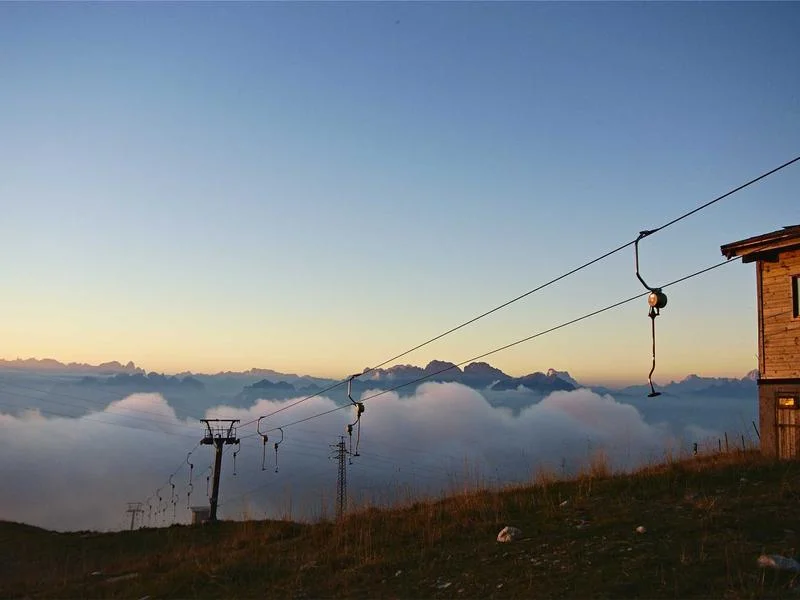 정육용진열장업체 - 매장_규모별_진열장_배치_사례
