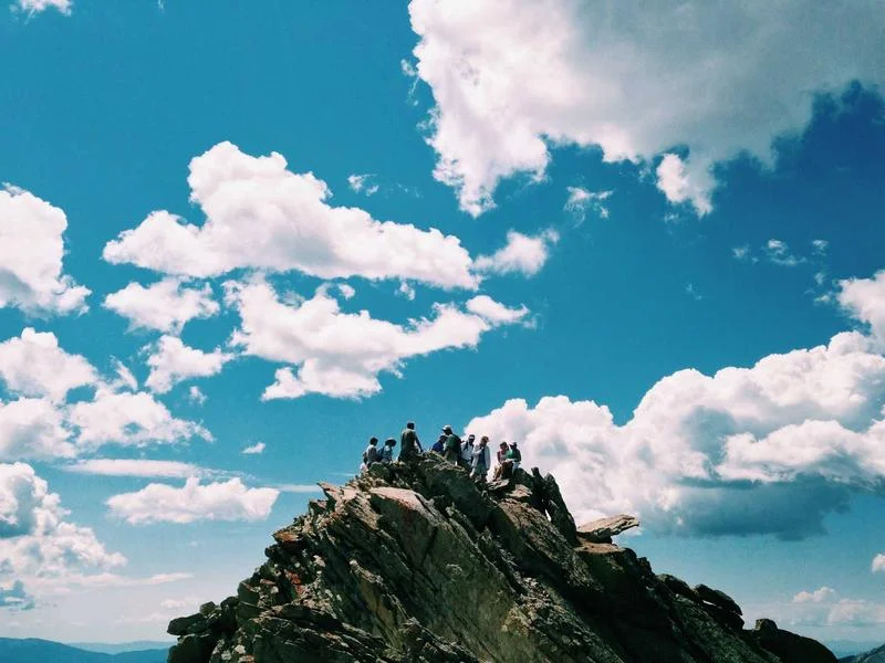 정육용진열장업체추천 - 신선도를_결정짓는_정육조명