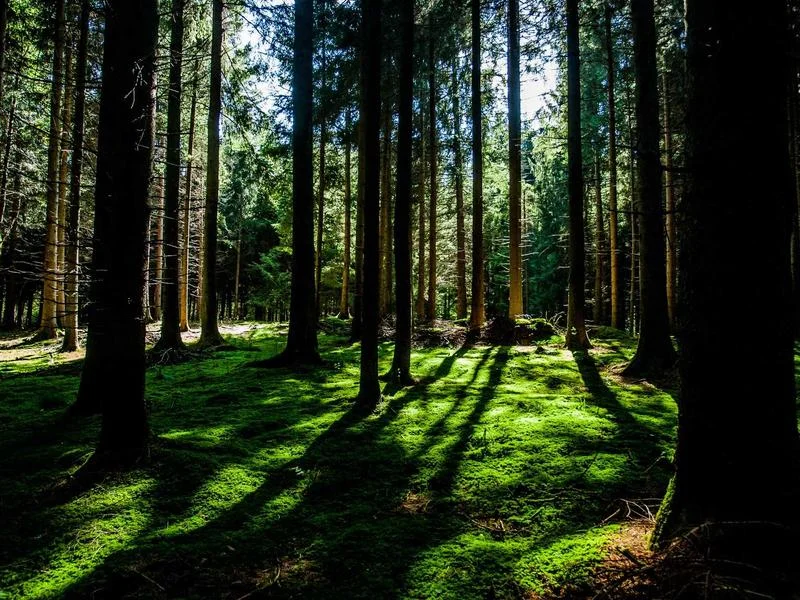 정육용진열장업체추천 - 전문가의_정기_유지보수_과정