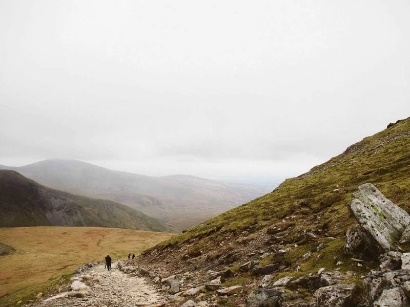 정육용진열장저렴한곳 - 2026년_정육진열장_시세