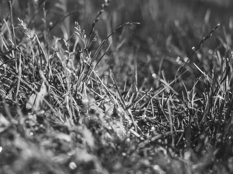 정육용진열장저렴한곳 - 철저한_AS_시스템_확인