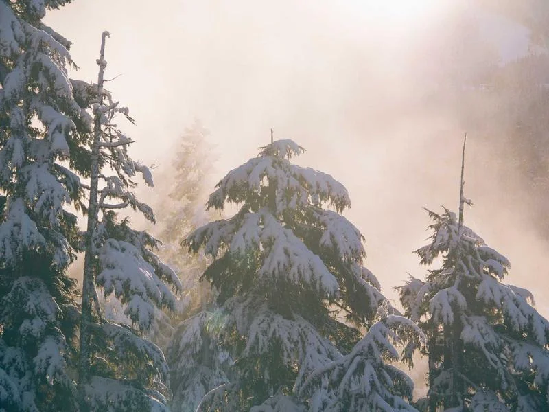 정육용LED쇼케이스제품추천 - 2026년형_정육쇼케이스