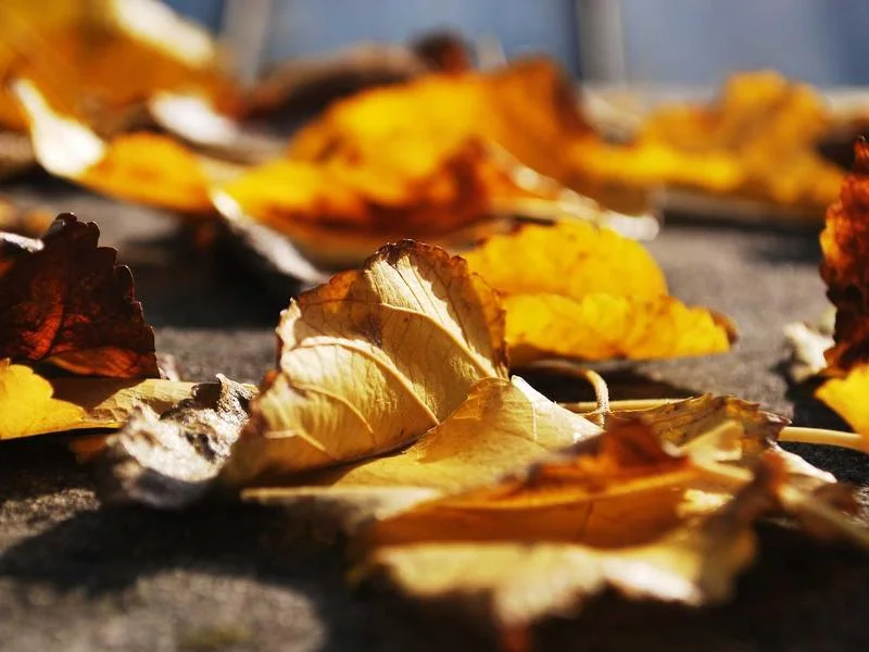 정육용오픈쇼케이스추천 - 2026년형_정육쇼케이스_점검