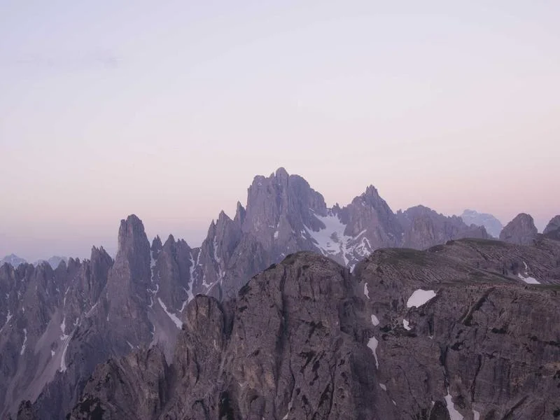정육용오픈쇼케이스추천 - 육색유지_핵심기술_확인