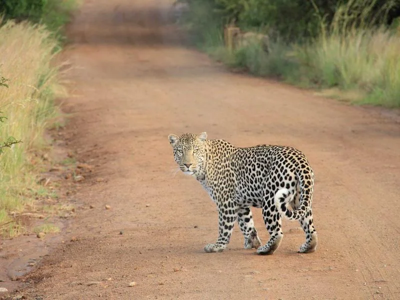정육용오픈쇼케이스저렴한곳 - 출고_전_최종_점검