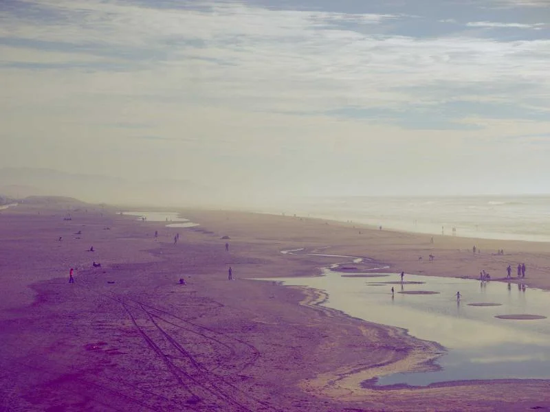 정육용뒷문쇼케이스추천 - 정밀한 온도 제어가 가능한 디지털 패널