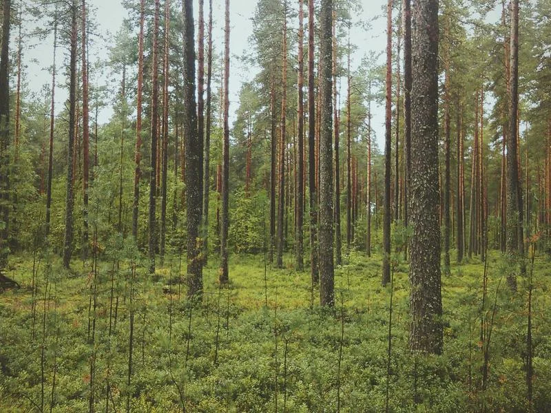 정육용뒷문쇼케이스견적 - 고객_신뢰를_높이는_쇼케이스