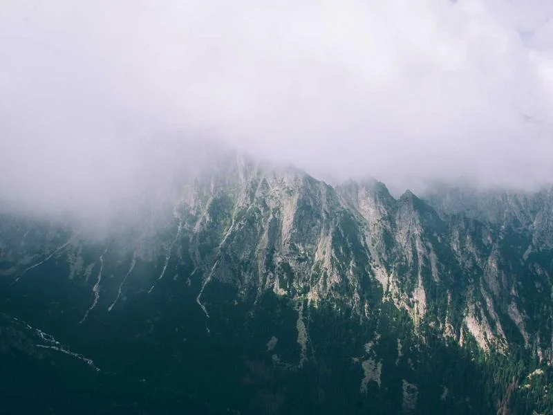 정육용앞문쇼케이스추천 - 2026년형_정육쇼케이스