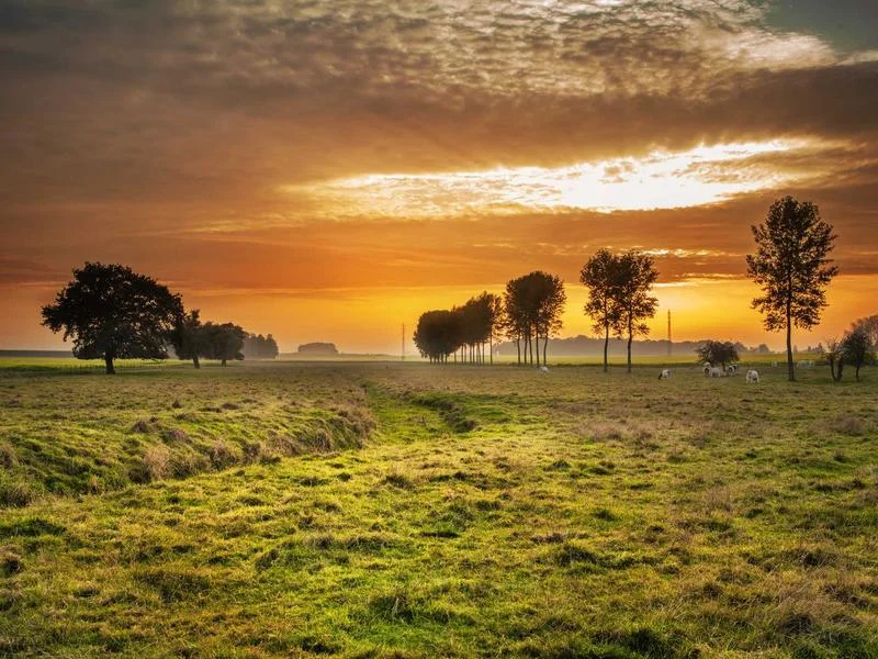 정육용오픈다단쇼케이스업체추천 - 2026년형_정육쇼케이스