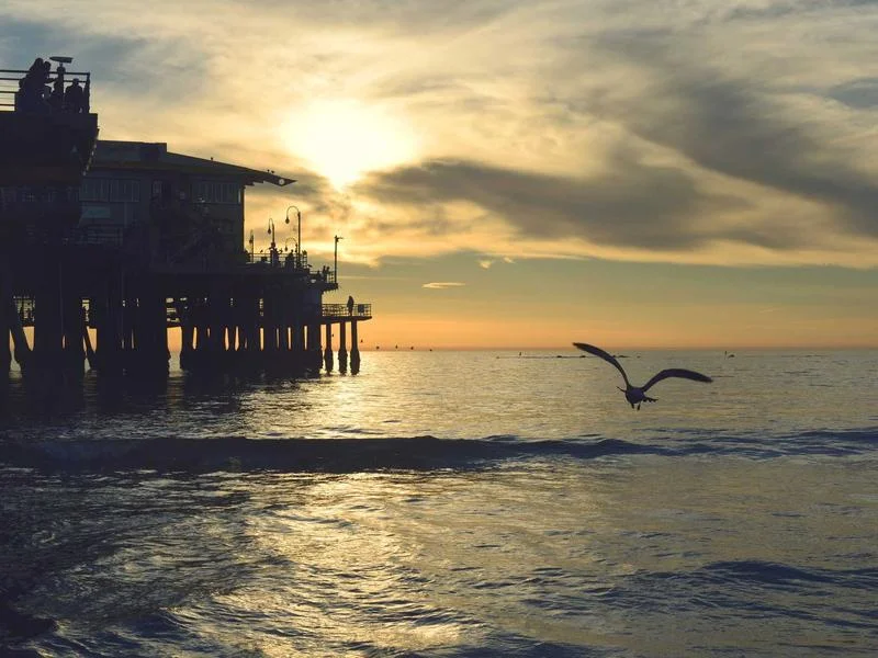 제과용진열장견적 - 정밀한_온도_제어의_중요성