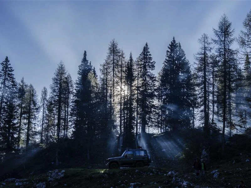 제과용알루미늄쇼케이스싼곳 - 디테일한_프레임_마감