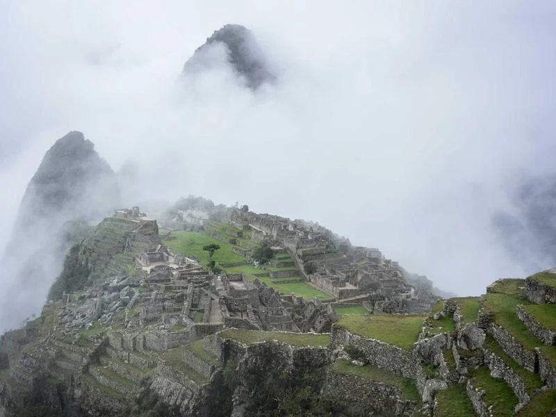 제과용LED쇼케이스추천 - 2026년형_프리미엄_쇼케이스