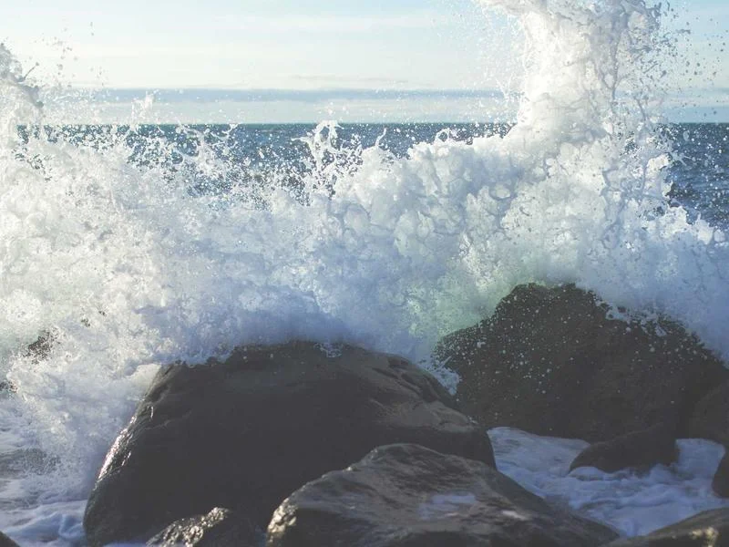 제과용LED쇼케이스설치 - 2026년형_프리미엄_쇼케이스