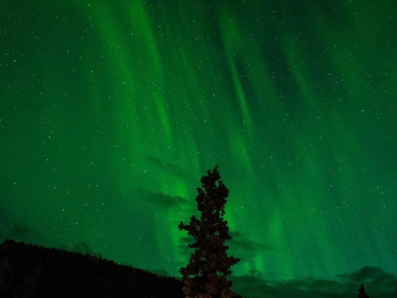 제과용LED쇼케이스설치 - 전문가의_정밀_설치_과정