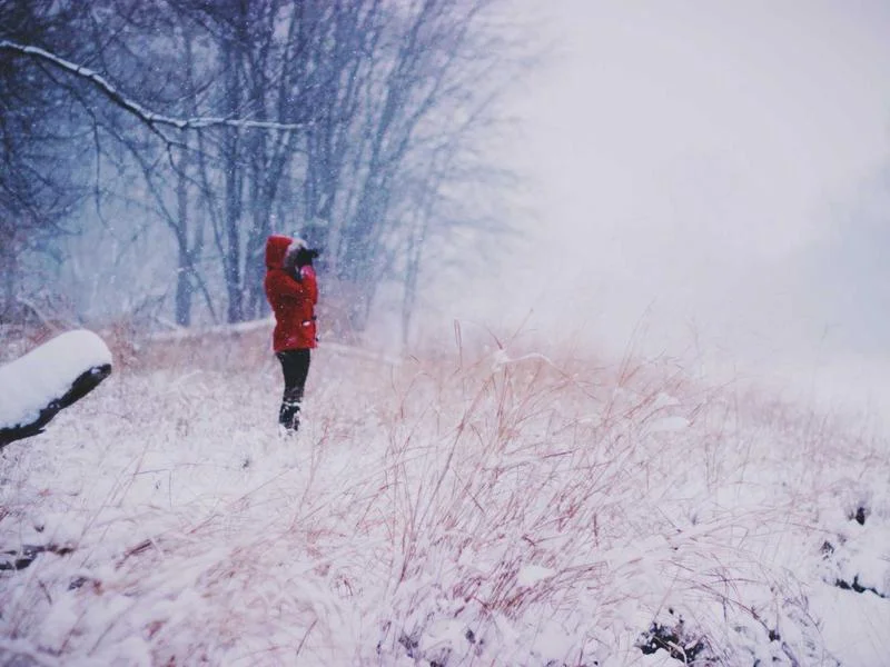 제과용LED쇼케이스비용 - 디저트를 살리는 LED 조명