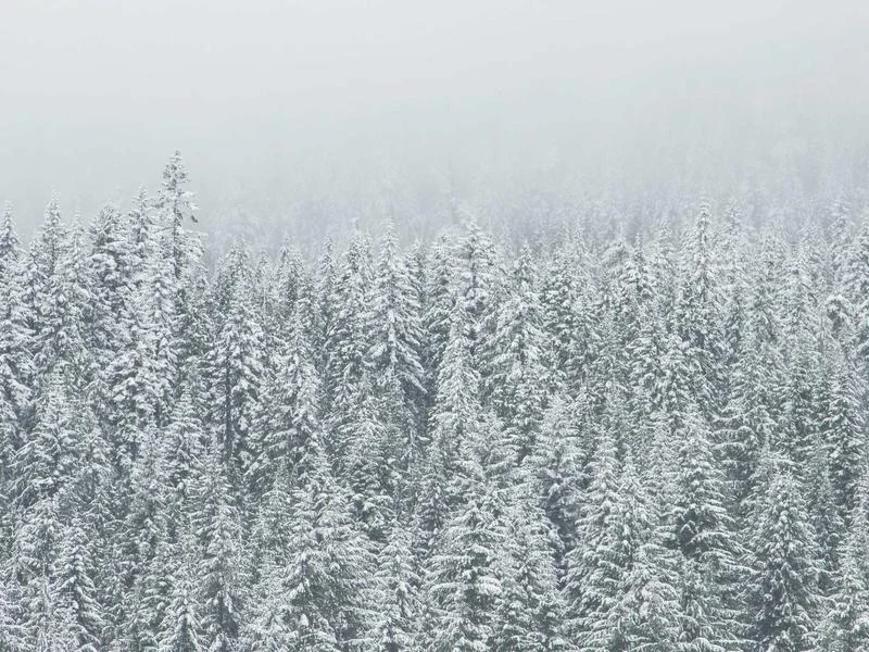 제과용오픈쇼케이스추천 - 인테리어와_조화로운_배치