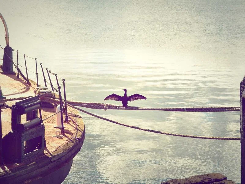 제과용오픈쇼케이스제품추천 - 성공적인_매장_운영의_시작