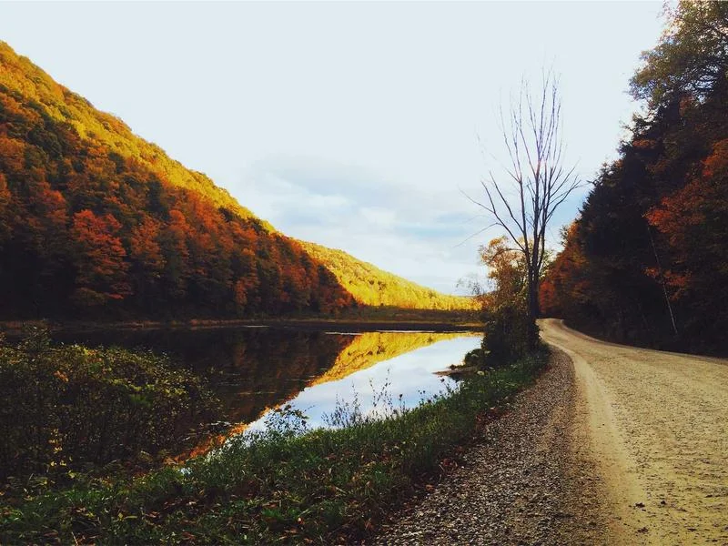 제과용뒷문쇼케이스업체 - 효율적인_후면_진열_동선