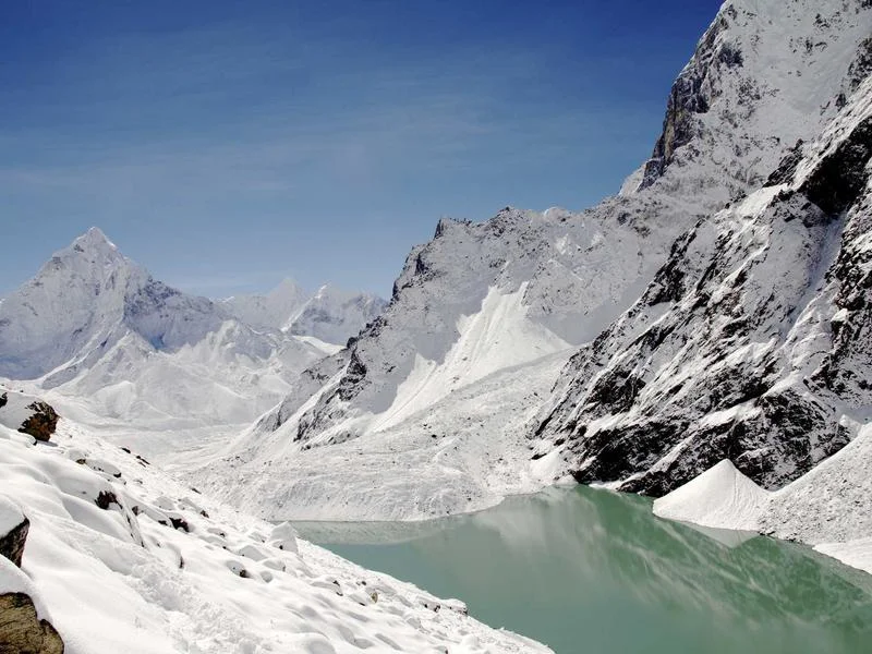 제과용뒷문쇼케이스견적문의 - 프리미엄 디저트 진열