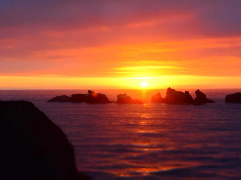 제과용뒷문쇼케이스싼곳 - 꼼꼼한_설치가_수명을_결정합니다