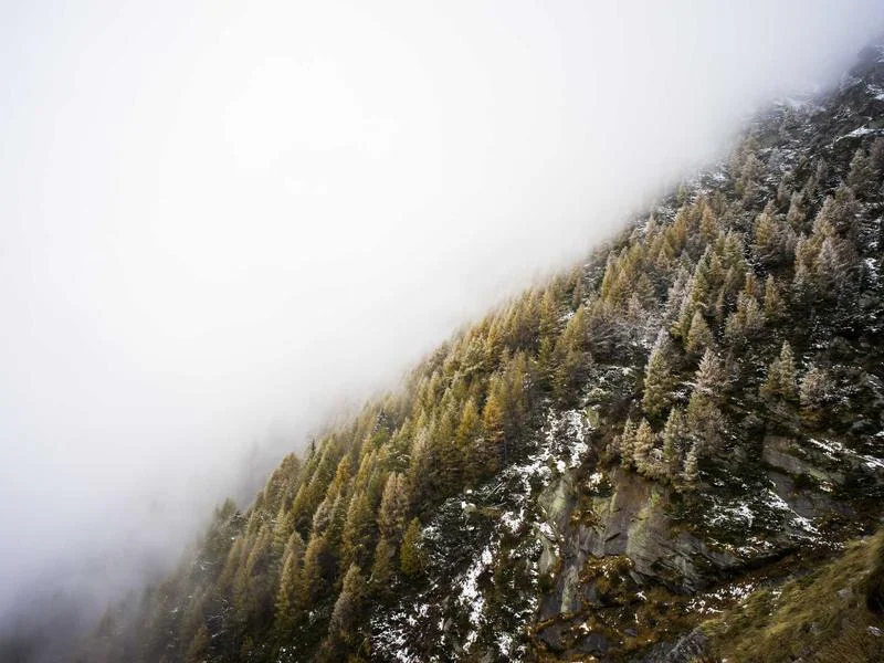 제과용앞문쇼케이스싼곳 - 디테일이 매출을 바꿉니다