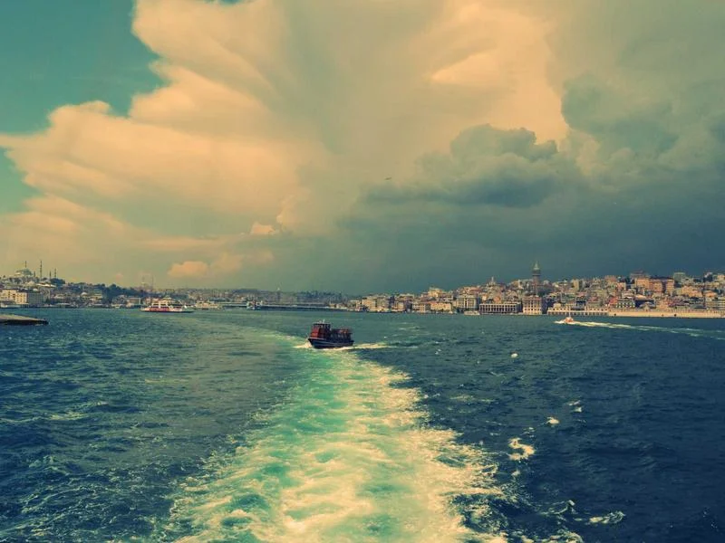 제과용앞문쇼케이스제품 - 매장_맞춤형_쇼케이스_배치