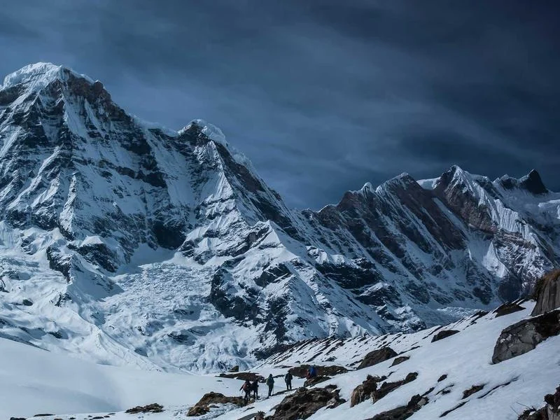 제과용냉장쇼케이스업체 - 정밀_온도_제어_시스템_확인