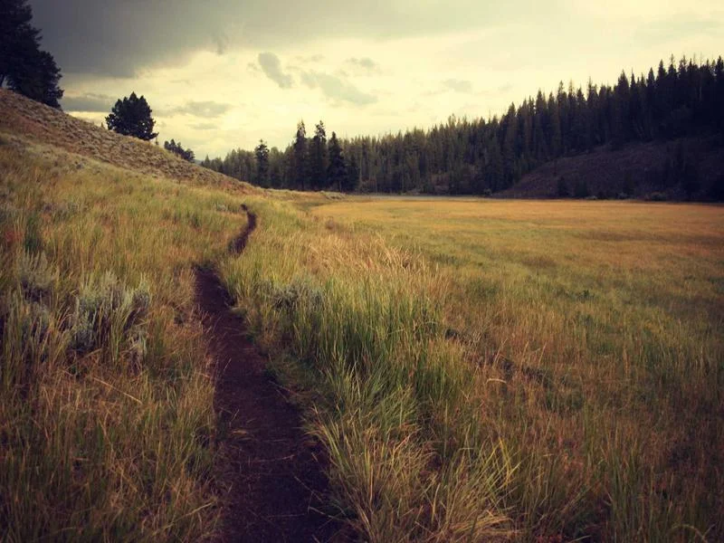 제과용냉장쇼케이스업체 - 엄격한_제조_공정과_품질관리