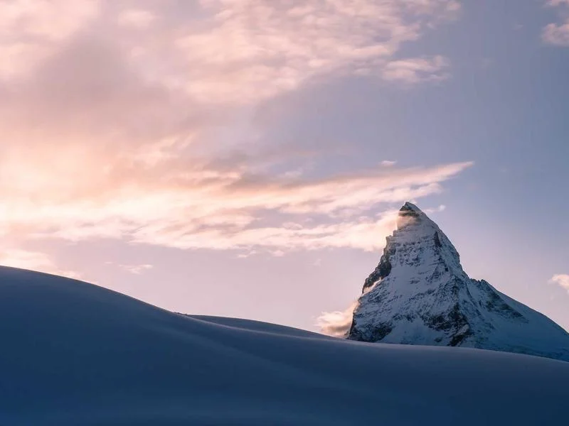 제과용냉장쇼케이스비용 - 2026년_카페_트렌드_쇼케이스