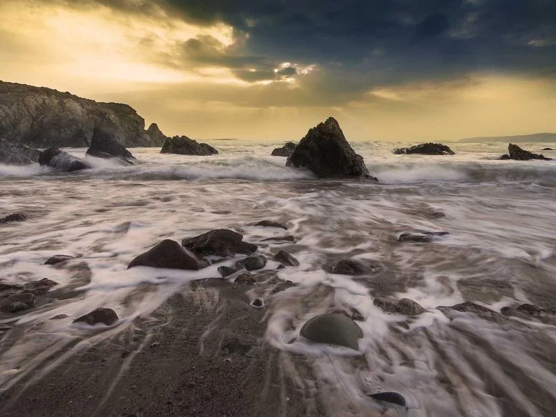 제과용냉장쇼케이스비용 - 전문가의_정밀_설치_과정