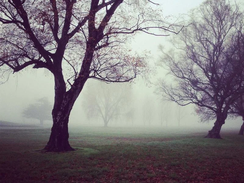 제과용냉장쇼케이스싼곳 - 2026년형_제과쇼케이스_고르는_법