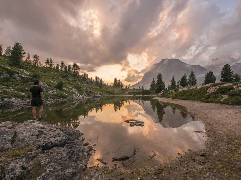 제과용냉장쇼케이스제품추천 - 매장의_품격을_결정하는_쇼케이스