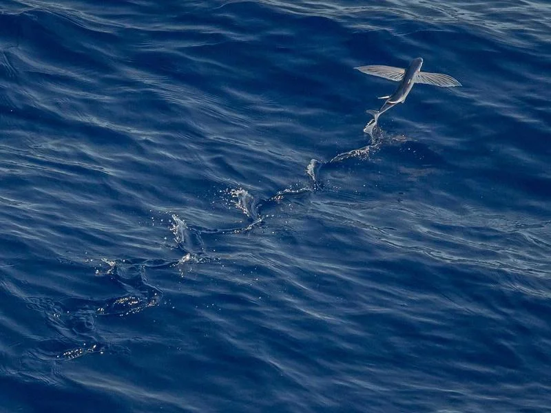 반찬집용쇼케이스저렴한곳 - 매장_운영_효율_극대화