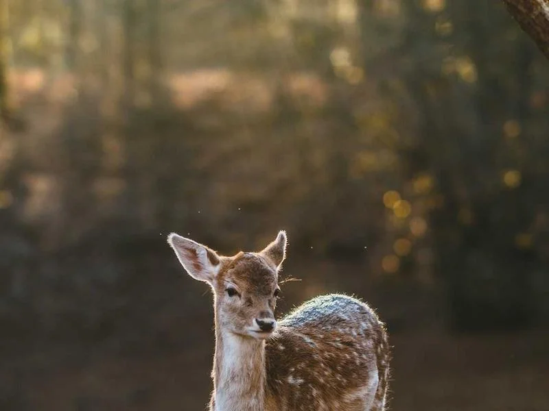반찬집용냉장고맞춤제작 - 2026 맞춤형 반찬 쇼케이스