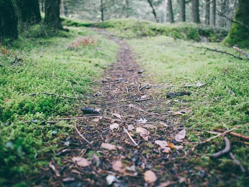 반찬집용냉장고맞춤제작 - 인테리어의 완성은 쇼케이스