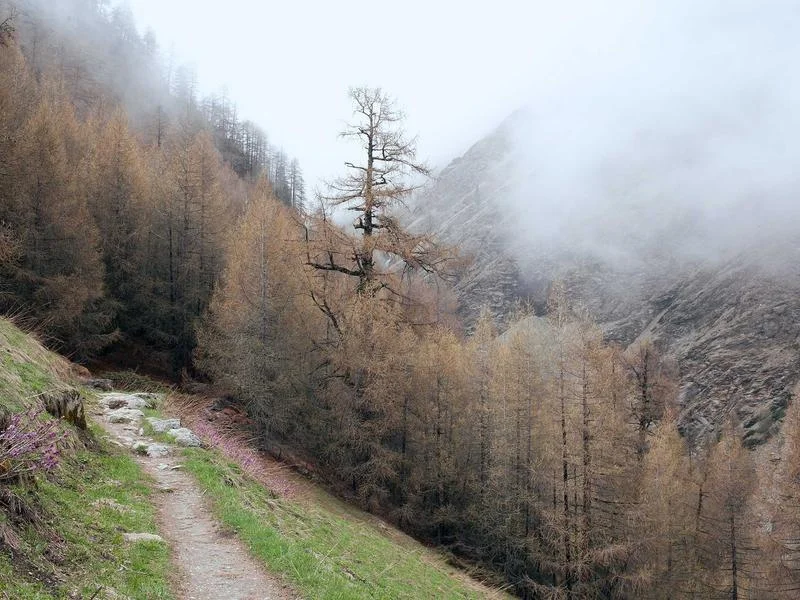 반찬집용냉장고업체추천 - 정밀한 온도 제어로 에너지 효율을 높이는 스마트 컨트롤러