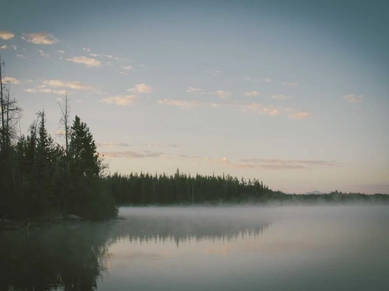 반찬집용냉장고업체추천 - 전문가의 꼼꼼한 사전 점검이 고장을 예방합니다