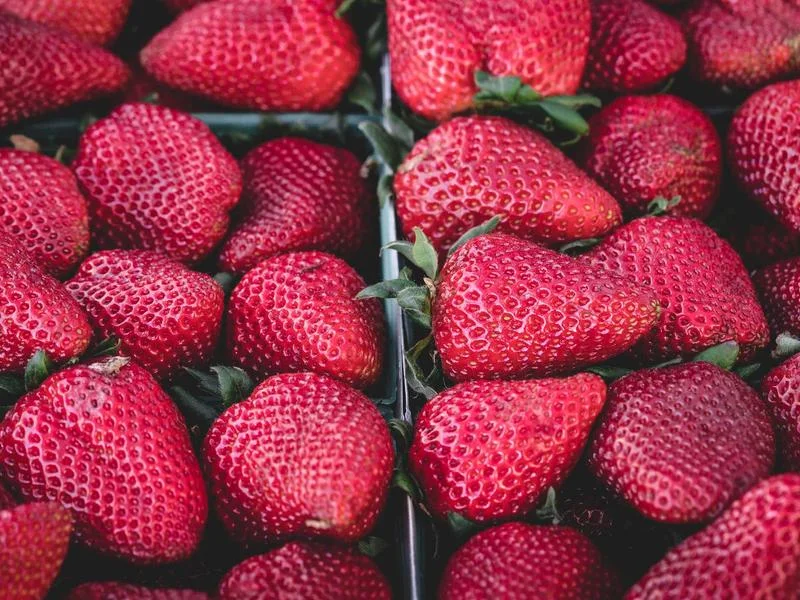 반찬집용진열장업체추천 - 고객 동선을 고려한 진열장 배치