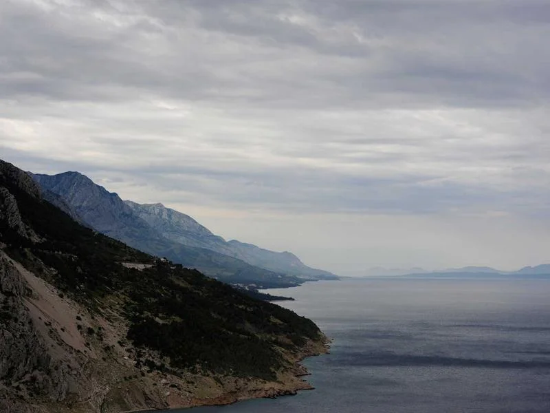 반찬집용진열장견적 - 매장_분위기를_살리는_진열장