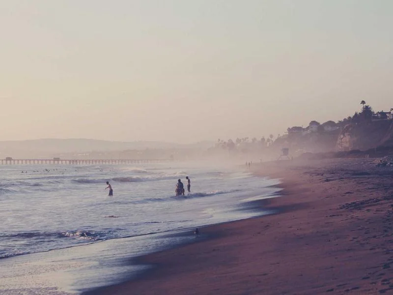 반찬집용진열장비용 - 최신_디지털_온도_제어판